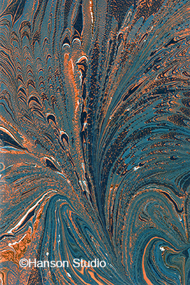 Blue and Orange Peacock